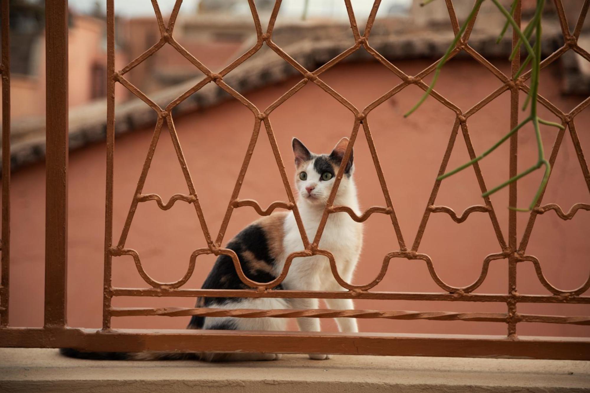 Riad Miss Caracal 马拉喀什 外观 照片